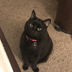 Meet your Posher, Karla